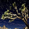 Come fotografare il cielo stellato