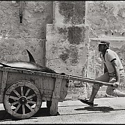 Sicilia 1975