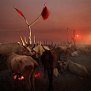 nilo accampamento allevatori di notte sorgere luna piena jonglei sudan sud 2012