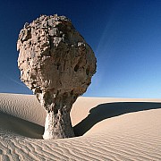 sahara roccia fungo risultato erosione eolica tassili ahaggar algeria 1993
