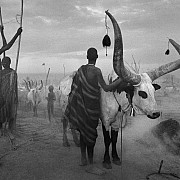 sebastiao salgado 002