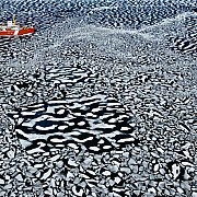 yann arthus bertrand rompighiaccio louis saint laurent resolute bay territorio nunavut canada piccola