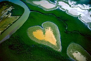 Yann Arthus-Bertrand: La terra vista dal cielo