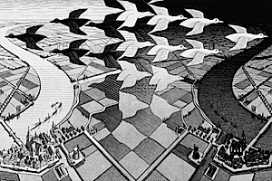 Escher in mostra