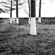 zander olsen tree line 009