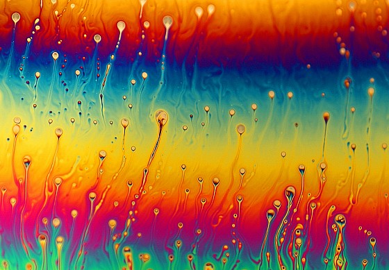 I colori sono generati dall'interferenza della luce riflessa sulle membrane del liquido