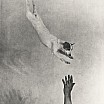 martin munkacsi jumping fox terrier circa 1930