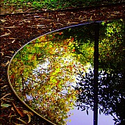 autumn water reflection starrynight1 2898016169