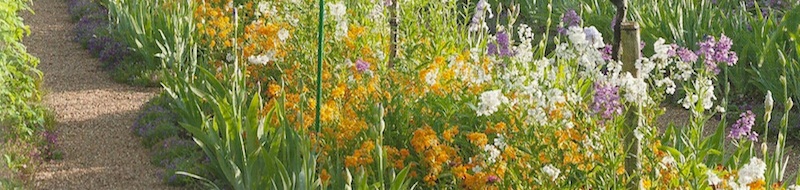 Il giardino di Monet a Giverny