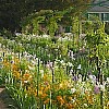 Il giardino di Monet a Giverny