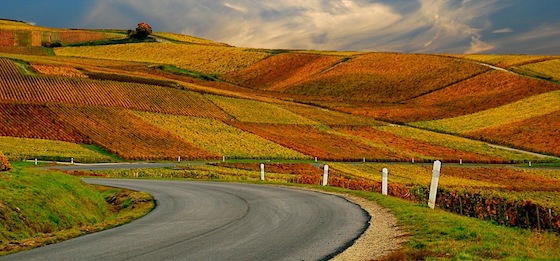 Autunno fra i vigneti della Francia