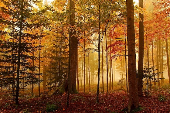 Autunno in Svizzera