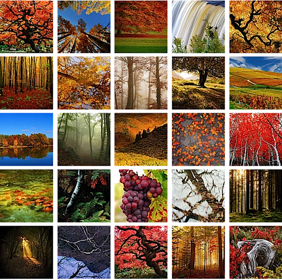 Foto mosaico d'autunno